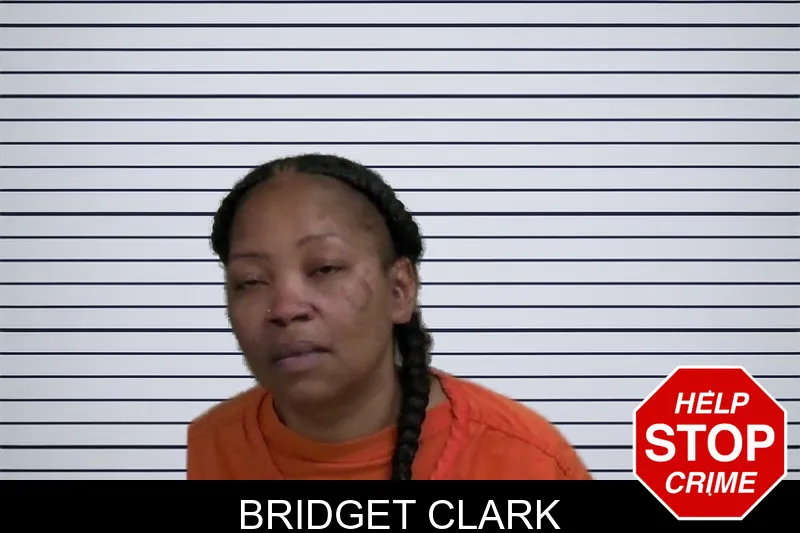 Bridget Clark mugshot – Wayne County , Georgia Bridget Clark mugshot