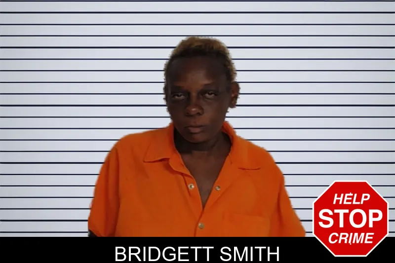 Bridgett Smith mugshot – Rockdale County , Georgia Bridgett Smith mugshot