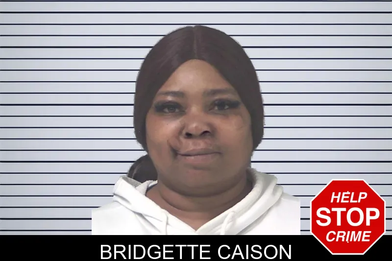 Bridgette Caison mugshot – Douglas County , Georgia Bridgette Caison mugshot