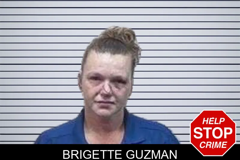 Brigette Guzman mugshot – Tattnall County , Georgia Brigette Guzman mugshot