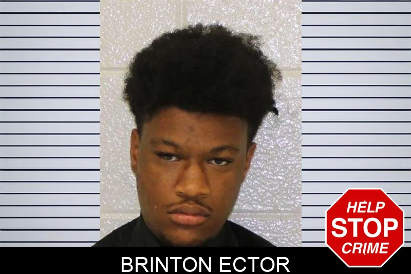 Brinton Ector mugshot – Carroll County , Georgia Brinton Ector mugshot