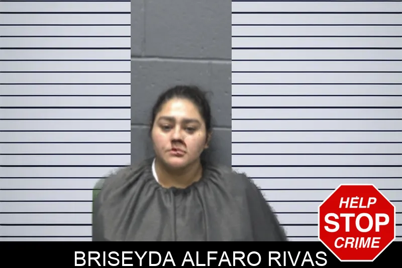 Briseyda Alfaro Rivas mugshot – Forsyth County , Georgia Briseyda Alfaro Rivas mugshot