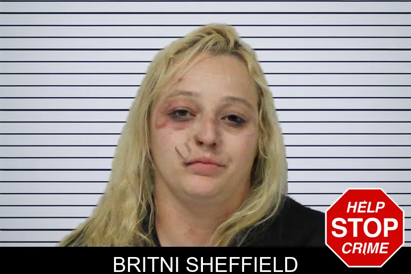 Britni Sheffield mugshot – Carroll County , Georgia Britni Sheffield mugshot