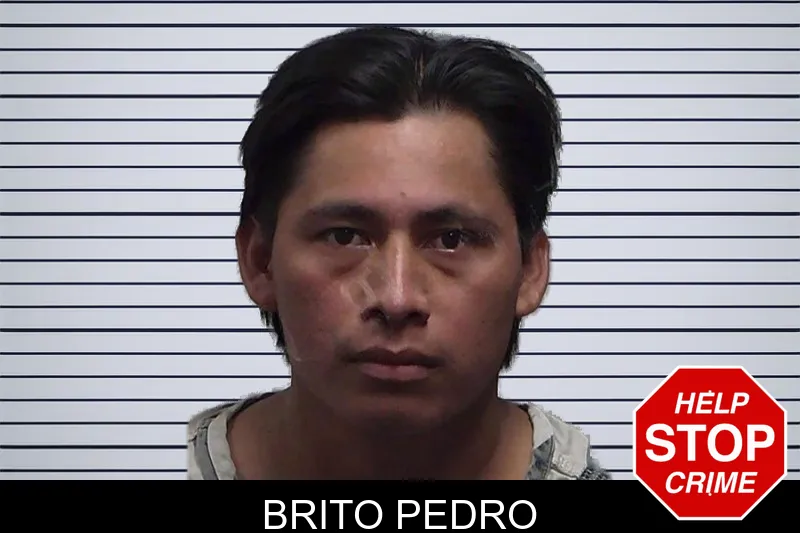 Brito Pedro mugshot – Tift County , Georgia Brito Pedro mugshot