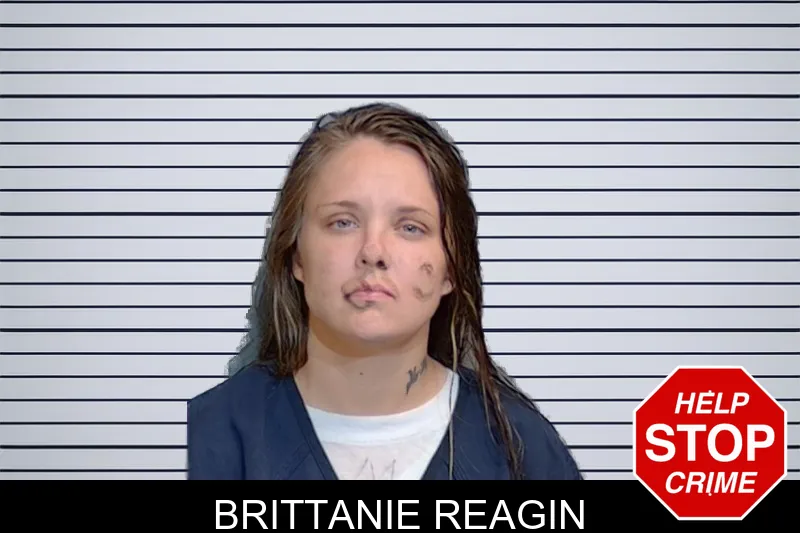 Brittanie Reagin mugshot – Glynn County , Georgia Brittanie Reagin mugshot