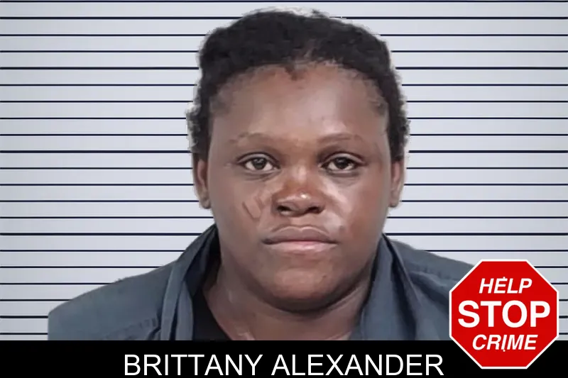 Brittany Alexander mugshot – Lowndes County , Georgia Brittany Alexander mugshot
