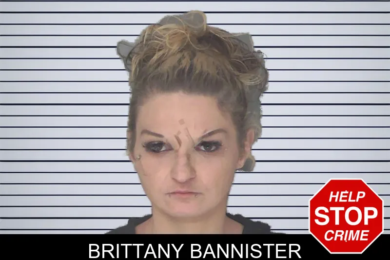 Brittany Bannister mugshot