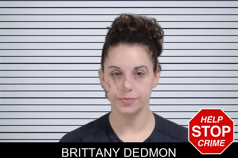 Brittany Dedmon mugshot – Lowndes County , Georgia Brittany Dedmon mugshot