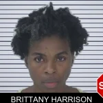 Brittany Harrison mugshot – Fayette County , Georgia Brittany Harrison mugshot
