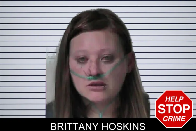 Brittany Hoskins mugshot – Miller County , Georgia Brittany Hoskins mugshot