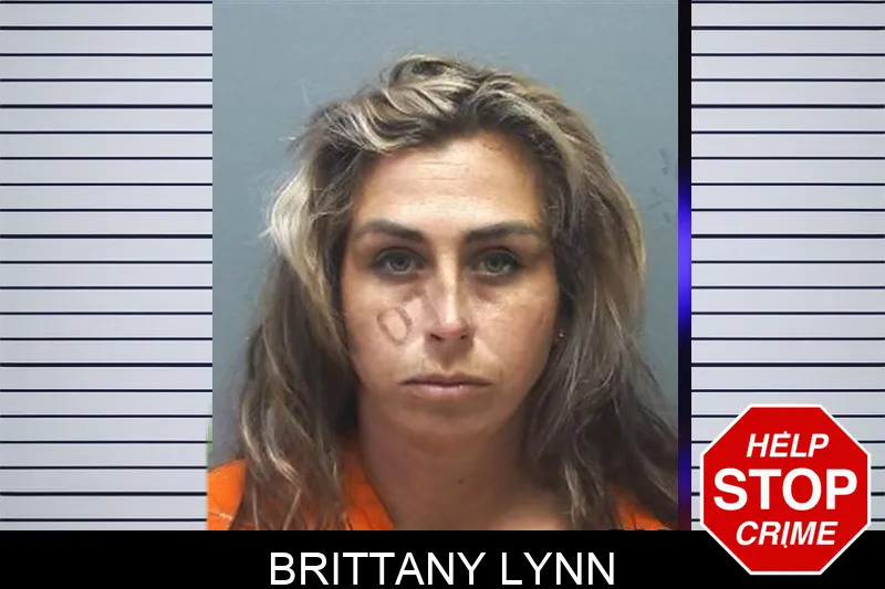 Brittany Lynn mugshot – Cherokee County , Georgia Brittany Lynn mugshot