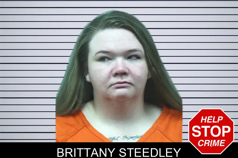 Brittany Steedley mugshot – Bleckley County , Georgia Brittany Steedley mugshot