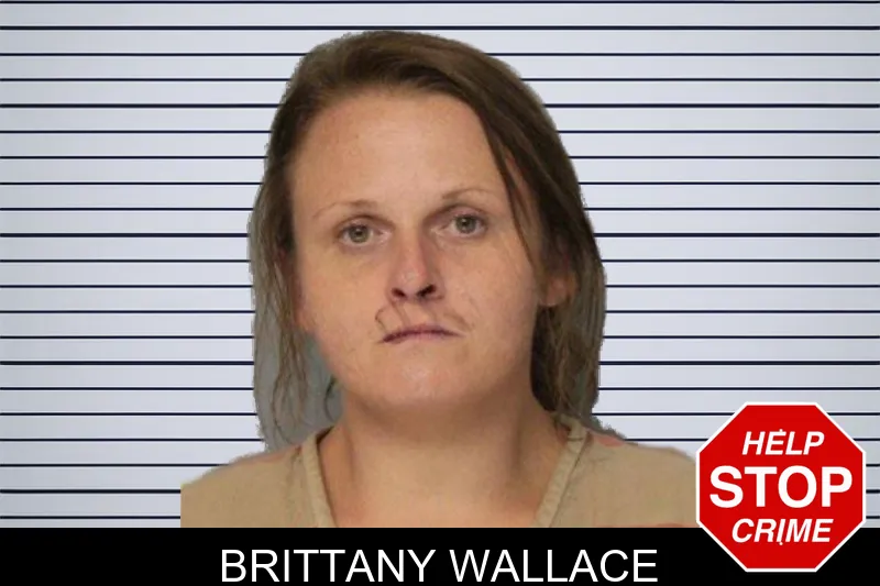 Brittany Wallace mugshot – Hall County , Georgia Brittany Wallace mugshot