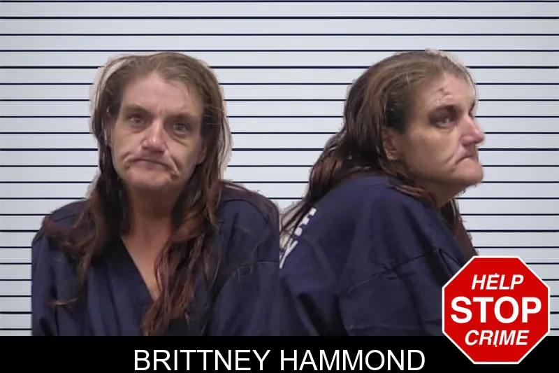 Brittney Hammond mugshot – Clarke County , Georgia Brittney Hammond mugshot