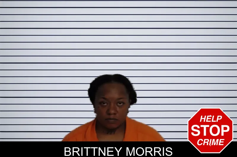 Brittney Morris mugshot – Rockdale County , Georgia Brittney Morris mugshot
