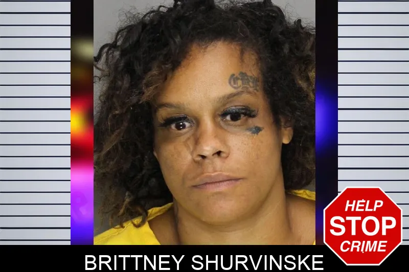 Brittney Shurvinske mugshot – Cobb County , Georgia Brittney Shurvinske mugshot