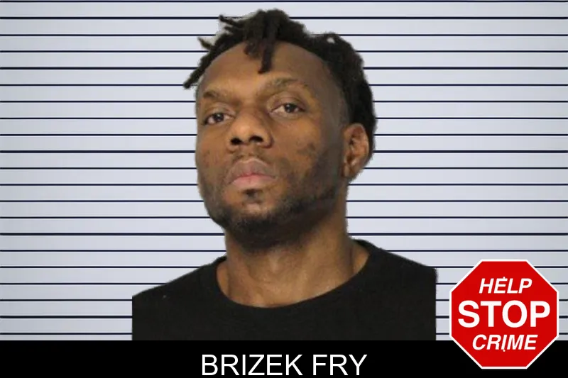 Brizek Fry mugshot – Hall County , Georgia Brizek Fry mugshot