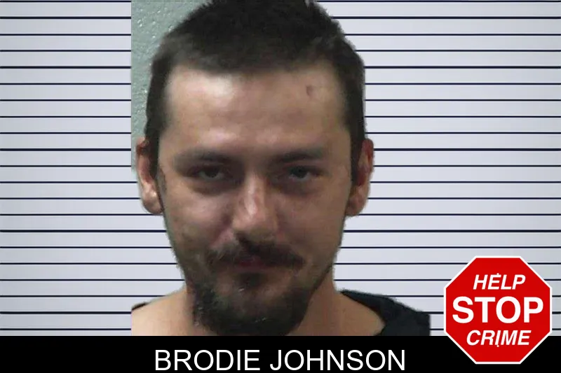 Brodie Johnson mugshot – Gilmer County , Georgia Brodie Johnson mugshot