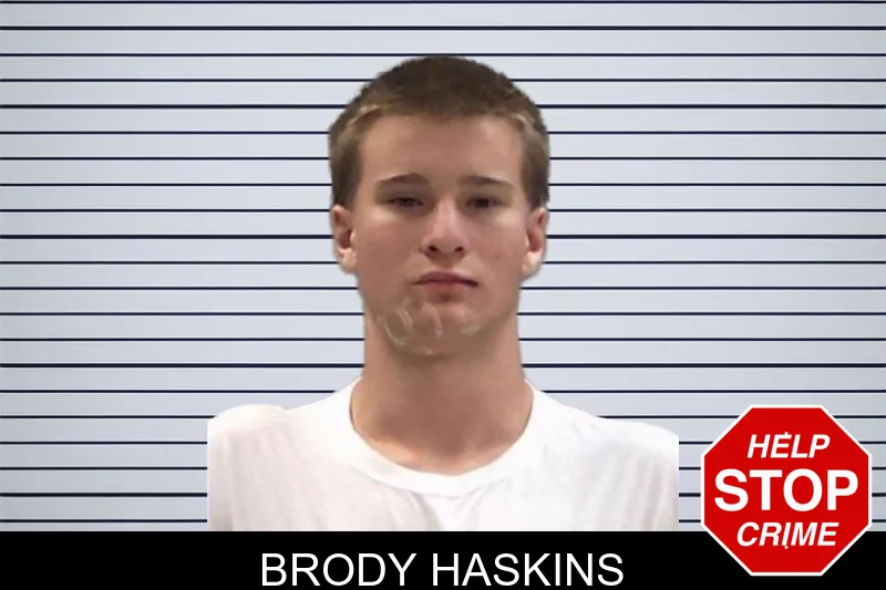 Brody Haskins mugshot – Baldwin County , Georgia Brody Haskins mugshot