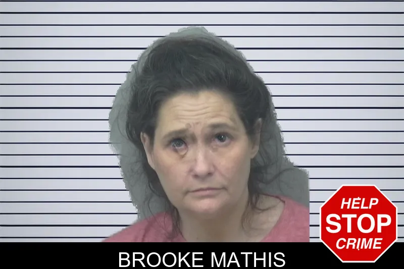 Brooke Mathis mugshot – Gwinnett County , Georgia Brooke Mathis mugshot