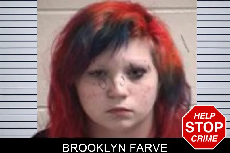 Brooklyn Farve mugshot – Henry County , Georgia Brooklyn Farve mugshot