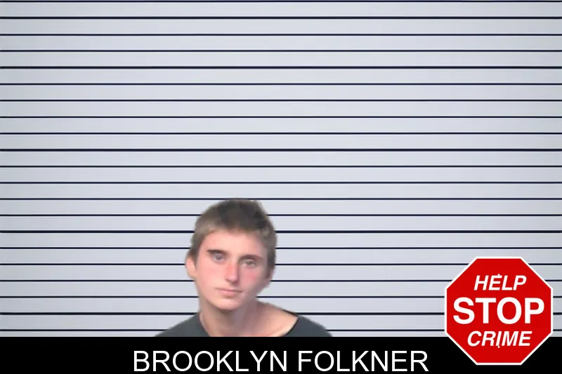 Brooklyn Folkner mugshot – DeKalb County , Georgia Brooklyn Folkner mugshot