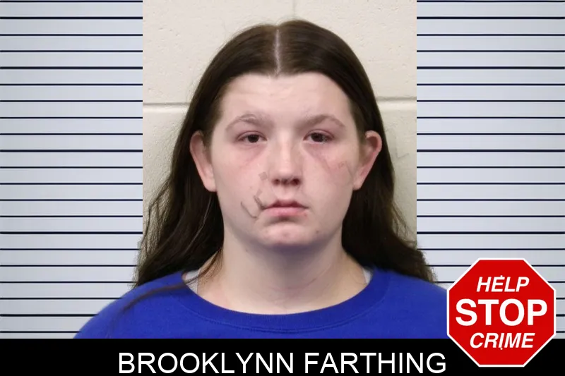 Brooklynn Farthing mugshot – Bulloch County , Georgia Brooklynn Farthing mugshot