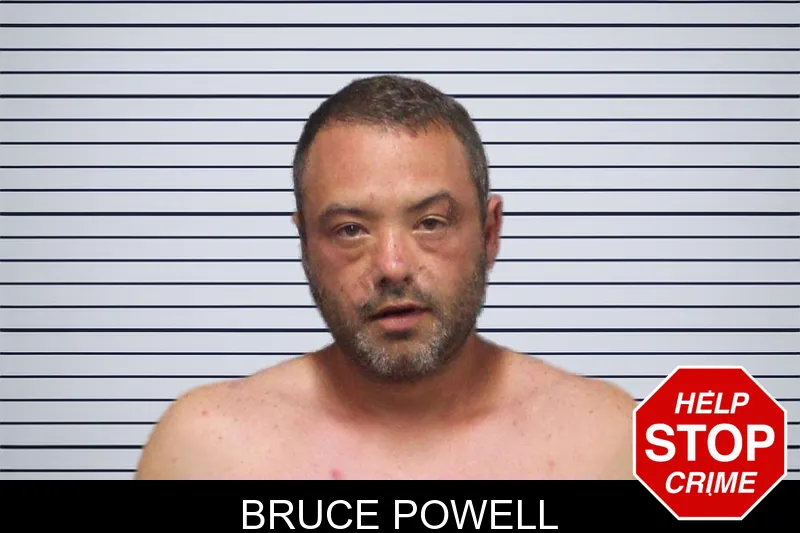 Bruce Powell mugshot – White County , Georgia Bruce Powell mugshot