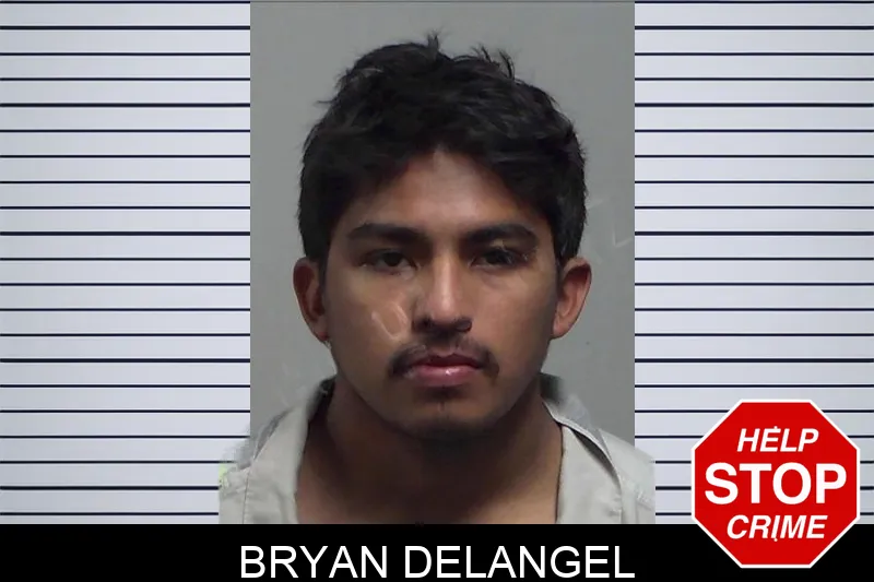 Bryan Delangel mugshot
