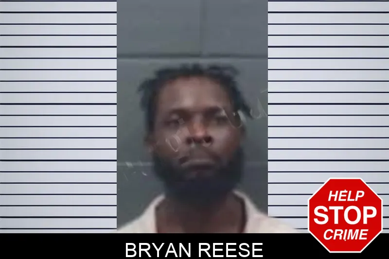 Bryan Reese mugshot – Oglethorpe County , Georgia Bryan Reese mugshot