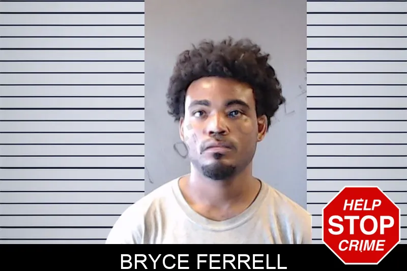Bryce Ferrell mugshot – DeKalb County , Georgia Bryce Ferrell mugshot