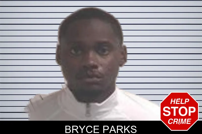 Bryce Parks mugshot – Henry County , Georgia Bryce Parks mugshot