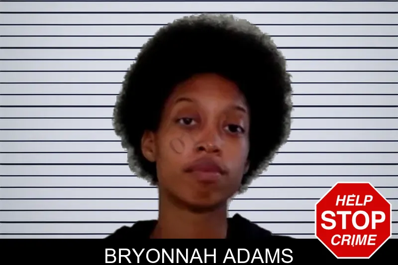 Bryonnah Adams mugshot – Liberty County , Georgia Bryonnah Adams mugshot