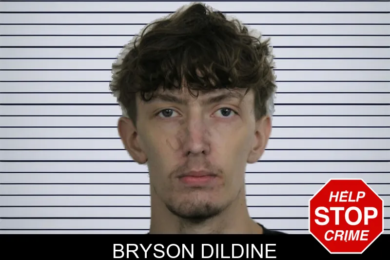 Bryson Dildine mugshot