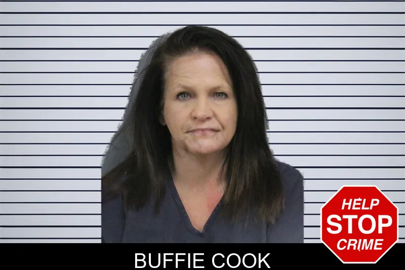 Buffie Cook mugshot – Catoosa County , Georgia Buffie Cook mugshot
