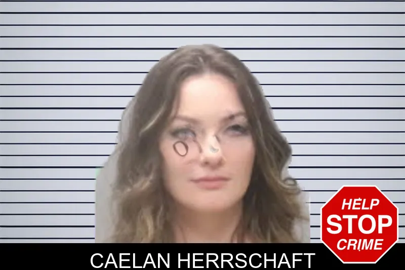 Caelan Herrschaft mugshot – Muscogee County , Georgia Caelan Herrschaft mugshot