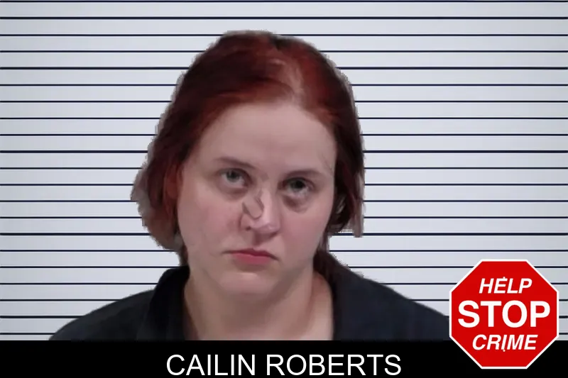Cailin Roberts mugshot – Lowndes County , Georgia Cailin Roberts mugshot