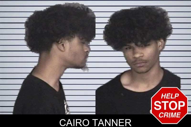 Cairo Tanner mugshot – Barrow County , Georgia Cairo Tanner mugshot