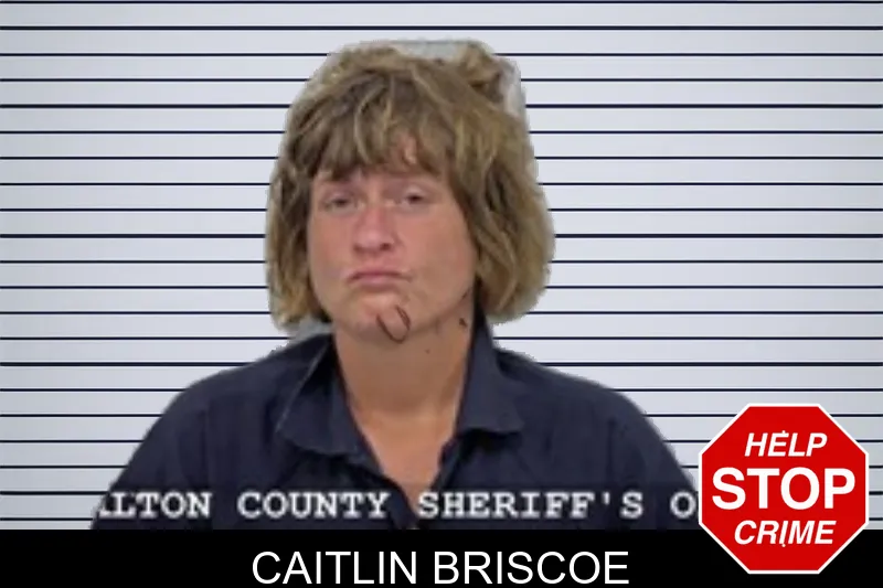 Caitlin Briscoe mugshot