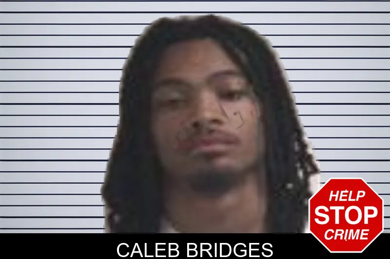 Caleb Bridges mugshot – Henry County , Georgia Caleb Bridges mugshot
