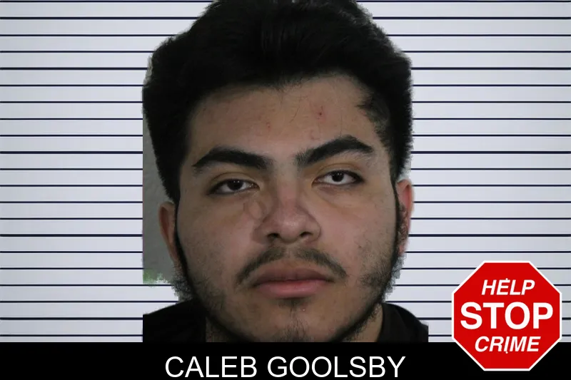 Caleb Goolsby mugshot – Floyd County , Georgia Caleb Goolsby mugshot