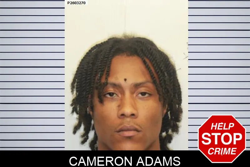 Cameron Adams mugshot