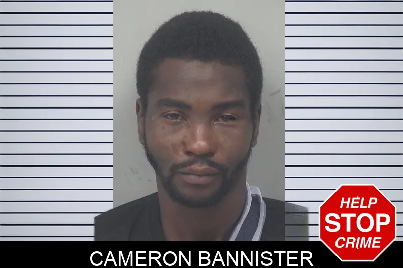 Cameron Bannister mugshot – Gwinnett County , Georgia Cameron Bannister mugshot