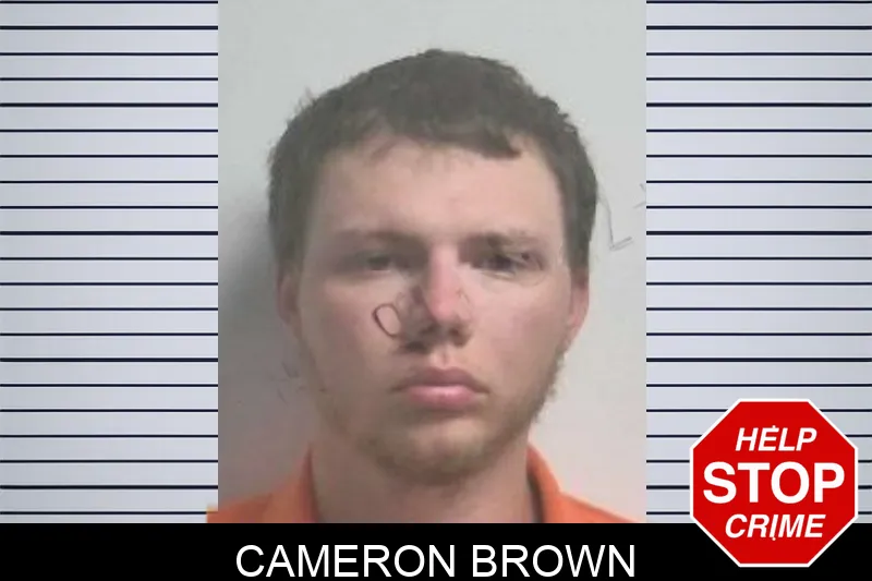 Cameron Brown mugshot – Colquitt County , Georgia Cameron Brown mugshot