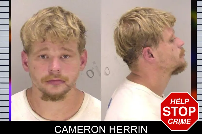 Cameron Herrin mugshot – Richmond County , Georgia Cameron Herrin mugshot