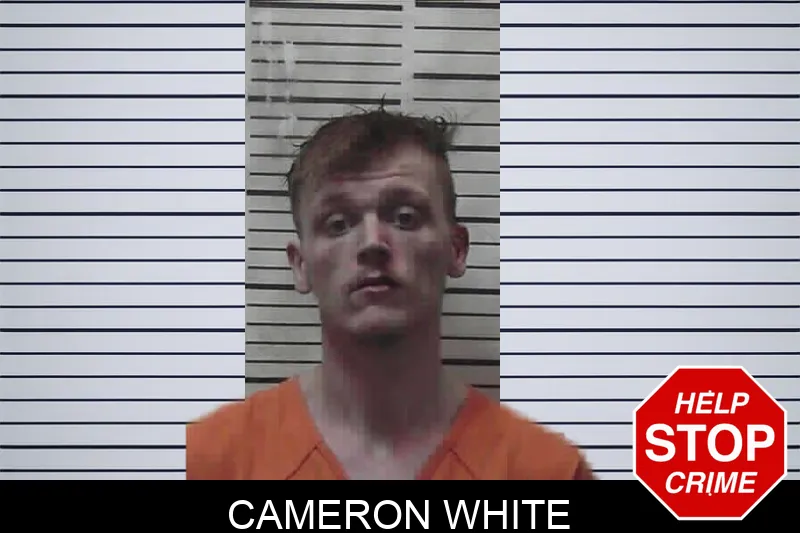 Cameron White mugshot – Meriwether County , Georgia Cameron White mugshot