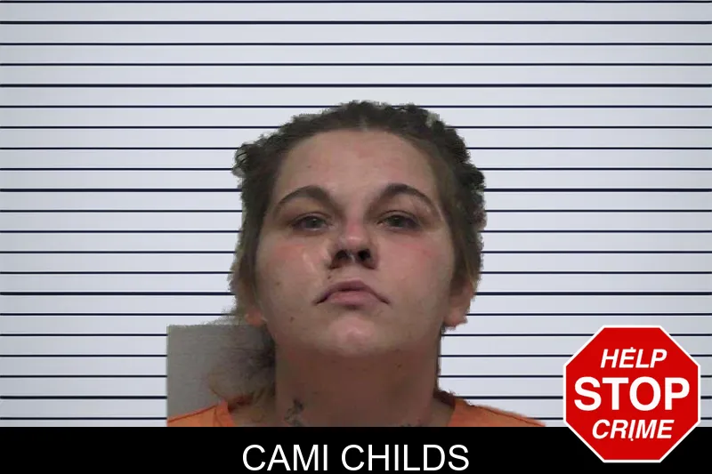 Cami Childs mugshot – Laurens County , Georgia Cami Childs mugshot