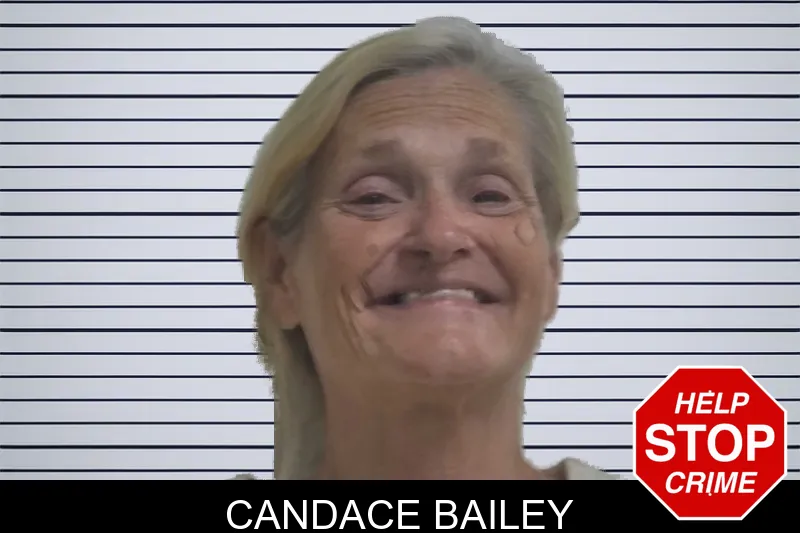 Candace Bailey mugshot – Oconee County , Georgia Candace Bailey mugshot