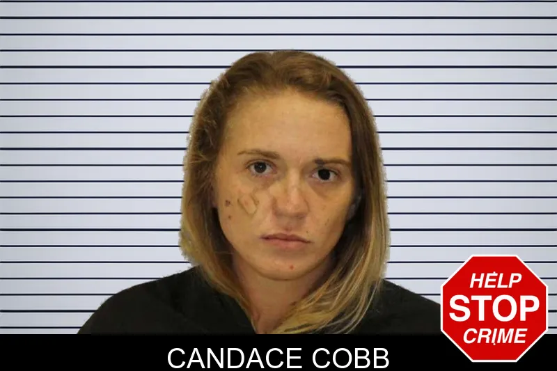 Candace Cobb mugshot