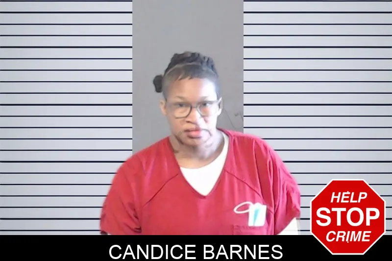 Candice Barnes mugshot – DeKalb County , Georgia Candice Barnes mugshot
